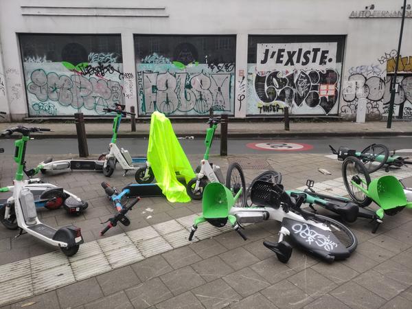 (image : Micha Goldberg) (image : Micha Goldberg)